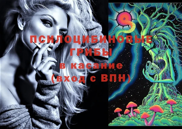 молекула духа Армянск