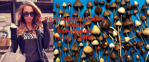 героин Аркадак