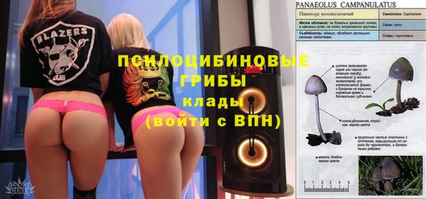 apvp Арсеньев
