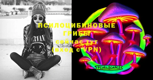 apvp Арсеньев