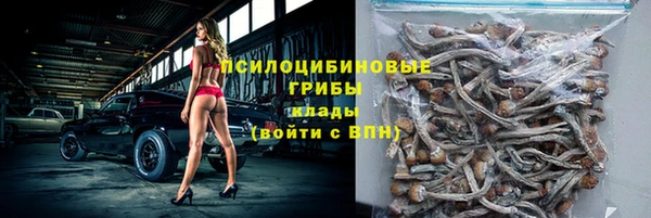 молекула духа Армянск