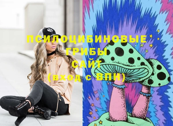 молекула духа Армянск