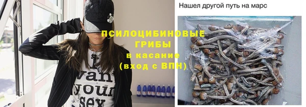 apvp Арсеньев