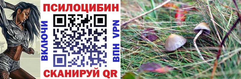 Псилоцибиновые грибы Psilocybe  продажа наркотиков  Братск 